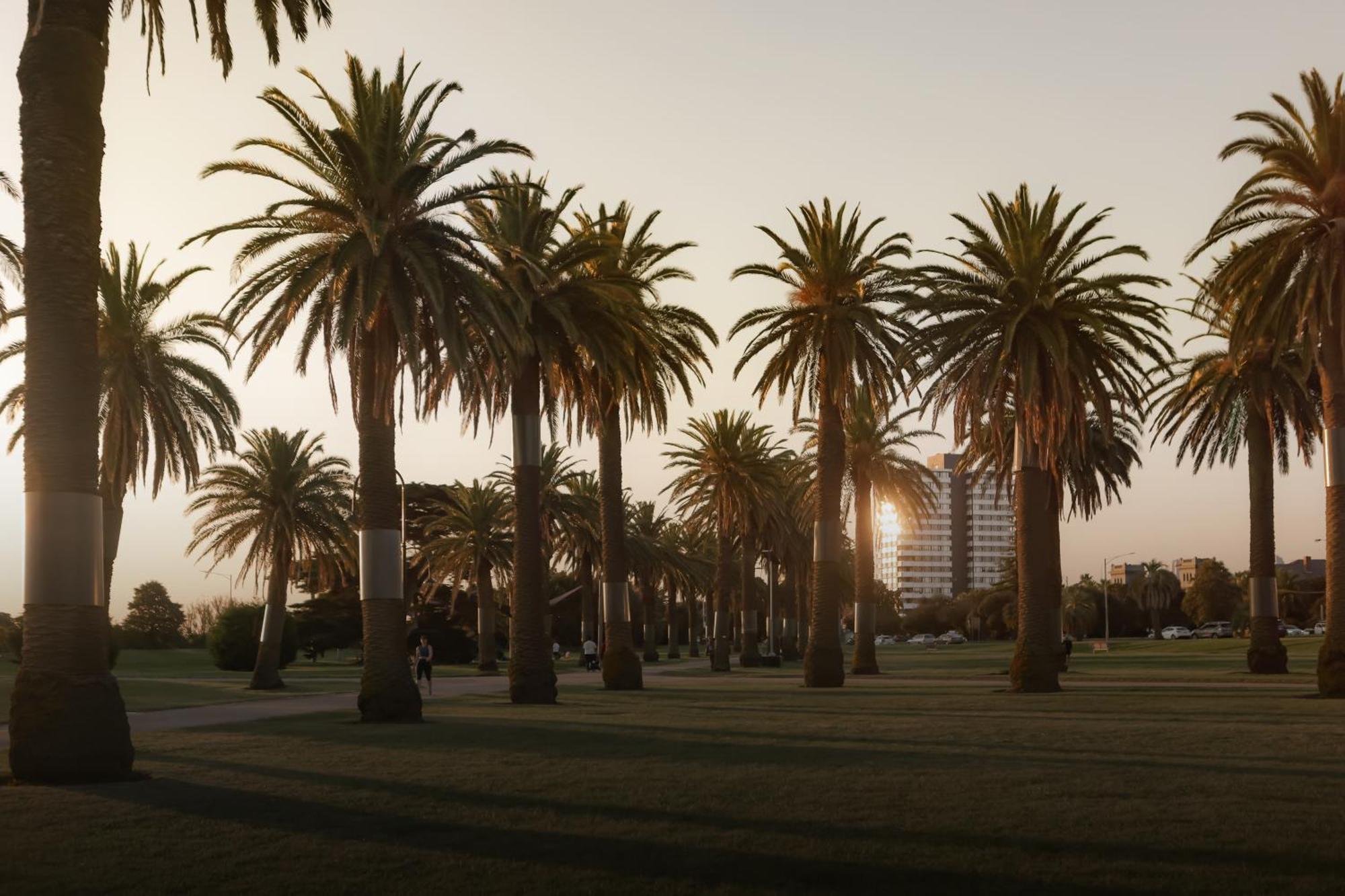 Mac St Kilda Blessington St By Melbourne Apartment Collection 외부 사진